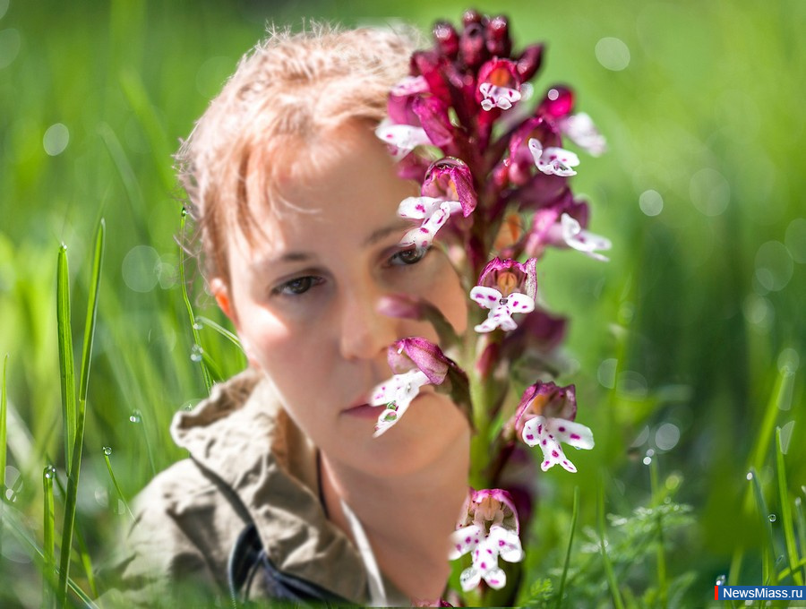 Биолог из Миасса приглашает любителей орхидей в экспедиции. "Искатели орхидей" помогут специалистам в наблюдениях за редкими видами цветов