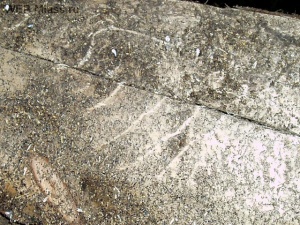 ����� ��������� ������