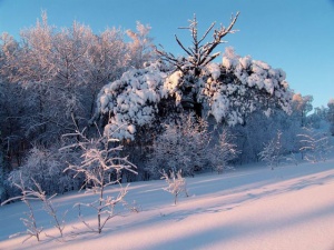 ���������� �� ������� �����