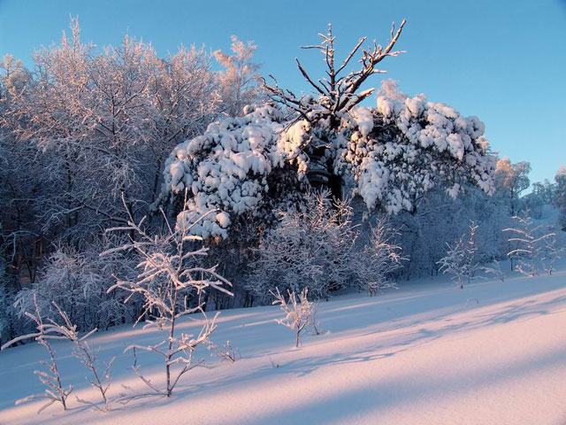 ���������� �� ������� �����. ������ ������������ ������������ ������ ������� ��������� ��������� �������