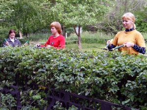 ����������� ���������