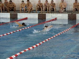 ����������� � ��� "����"