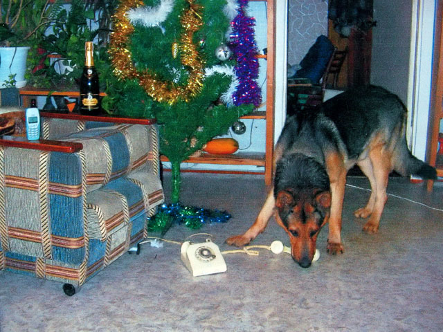 Utel  . 2    "Utel-"