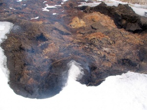 ������� ������ �������� �������