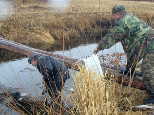 ������� ���� - �����