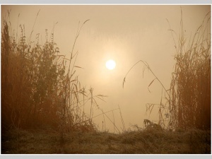 ������� ������