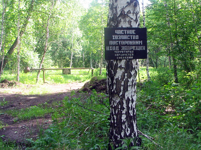 " " -   .      " "  ,  