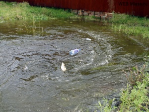 ������� "�������" � ������ ����