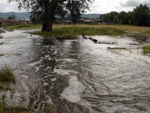 ������� "�������" � ������ ����