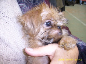 ������ �������� �����