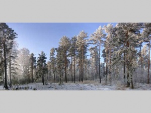 �������� ���������������� � "M����"