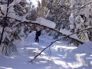 �� ������� - �� �����