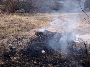 ������ ����� - �������� �����