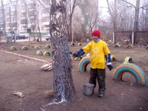 "���������" ���� ����