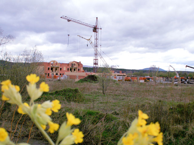 :    .                - 