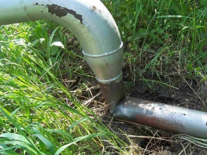 "�����" �������� ����������