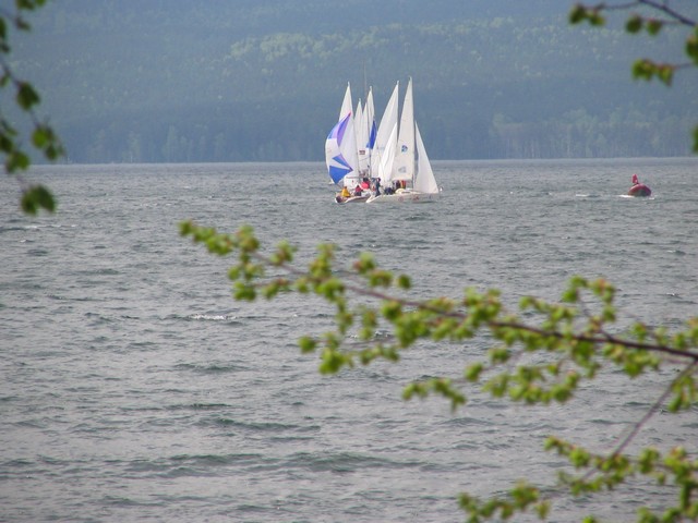  "":     .          ""  