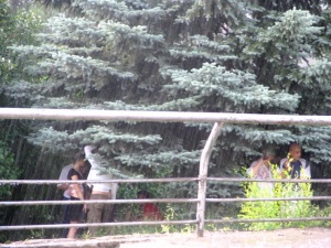 "�������" ���� �������� ����������