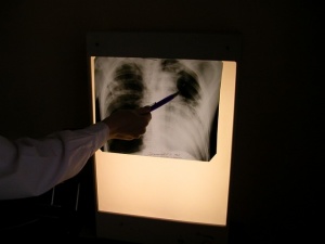 ���������� ������ ���� � XXI ����