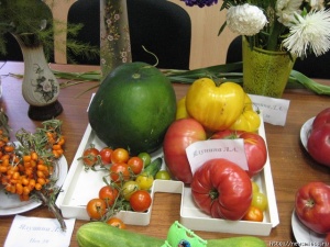 ����� � �������� �� �������� ���������