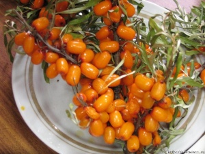 ����� � �������� �� �������� ���������