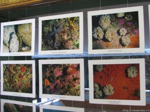 ������� ����� - �� ���������� ���������