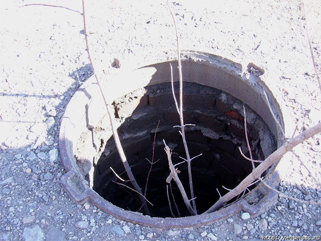 ������ �� ����, �������. "��������������" �������� 894 �������� ������������� � ��������������� �����