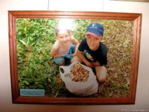 ����� ������������ "��� ����������� ����� �����"