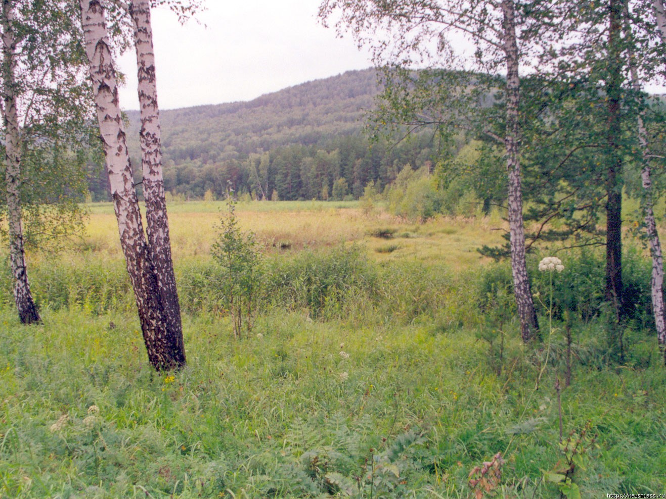 Уральская н