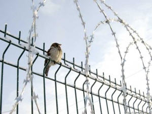 ����� ���� �������� "��������������" � "�����"