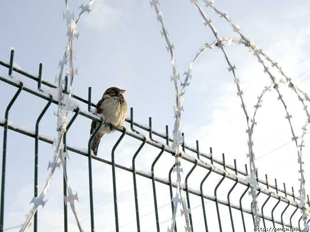    ""  "".  :      ""  ""