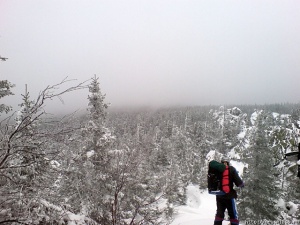 "��������" ����� ������� �������