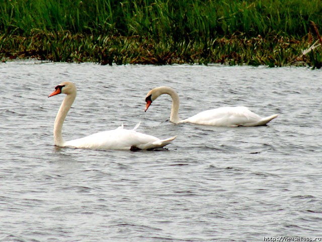  " "  .    90-  " "     ""