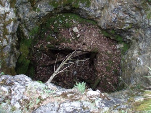 �� ������� ���� ������� ����� �������