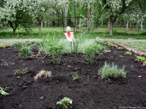 ������������ ��������� ������ � ������