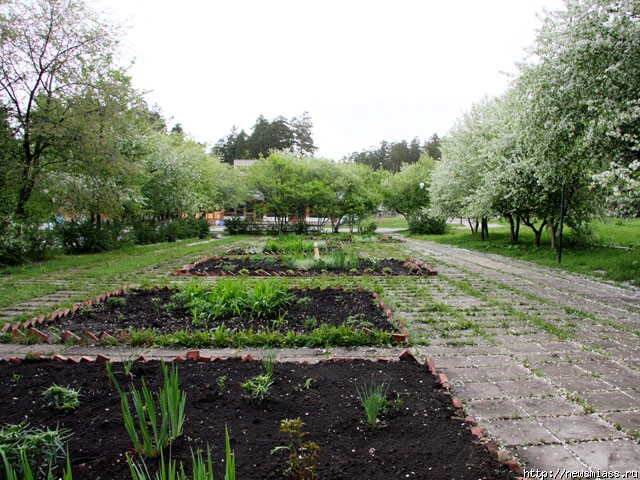     .   ""     - " "  " "