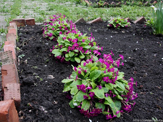     .   ""     - " "  " "