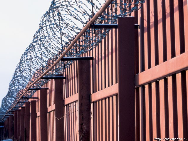 "�����" �������� � ���������. "�����" ������������������ �� ��������� ������� ������������ � ��������