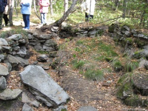 ������ ���� - ������� ���������� ����������