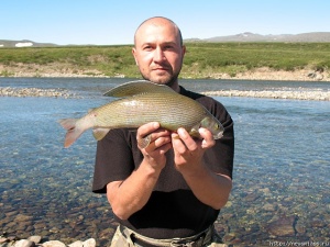 � ���� ������ ���� - ��!