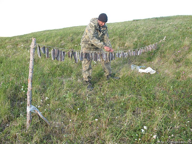 � ���� ������ ���� - ��!. ������ ����������� ����������� "����" ��������� ����� �� ���� ������ �� ��������� �����