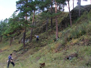 � � ���� �� ����������, � ����� ������