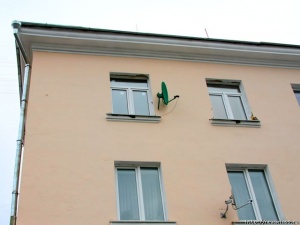 ����� �� ������������� ������ ���� ���������