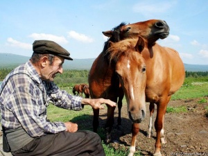 �� ������ ����� ���������