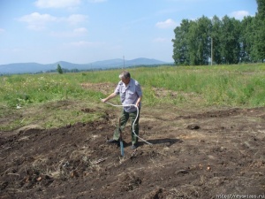 ������ ������� �������� ������