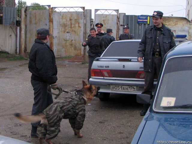 ���� �� ��������� ������. ���������� ������ ����������� �� ������ � ����������� ����