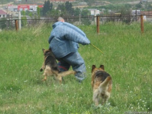 ������� ������ ��� � ����