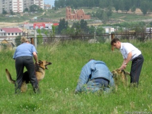 ������� ������ ��� � ����