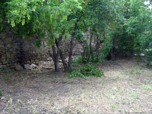 ��������� �������� � �������������