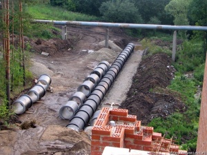 � ���� ��������� ����������� ����������� ������